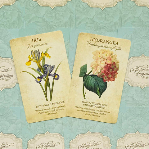 Botaninės kortelės su Iris ir hortenzija, dviejų atvirukų komplektas ant turkio raštuoto fono, senovinio stiliaus priekis