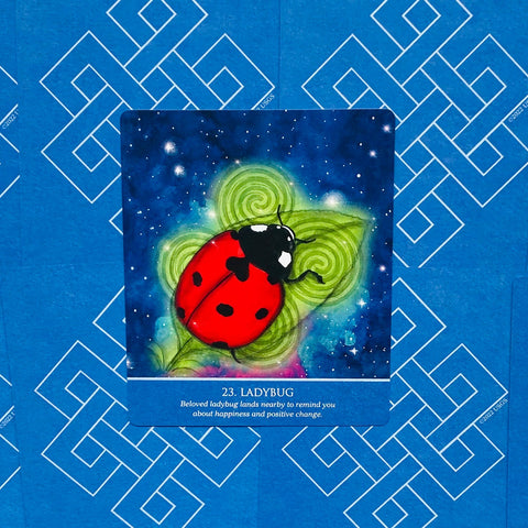 Orakulų korta Ladybug su ryškiai raudona boružele ant žvaigždėto mėlyno fono, siunčianti sėkmės ir pokyčių žinutę