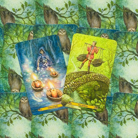 tarot kortos iš Woodland Tarot rinkinio, atviri 'Three of Spells' ir 'Two of Boons' su žalia pelėdos nugarėle