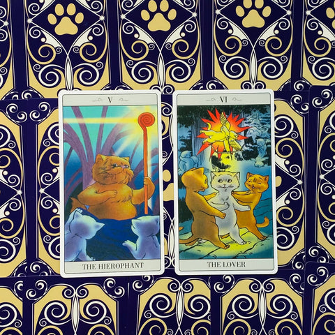 Tarot kortos katėmis, dvi atviros kortos (The Hierophant ir The Lover) ant dekoratyvios mėlynos ir aukso nugarėlės, pabrėžia katė tematiką ir spalvotą iliustraciją