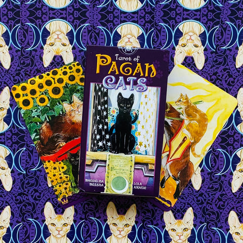 Tarot kortos Pagan Cats purpuriniame dėkle su juodos katės piešiniu, atidengtos trijų kortų fanu ant violetinio fono