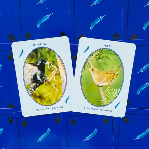 Orakulo kortos dvių paukščių variantas, Hunting (juoda) ir Wren (ruda) išdėstytos ant mėlyno dėklo