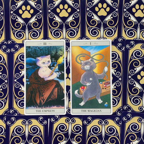Tarot kortos katėmis, dvi atverstos kortos The Empress ir The Magician, ryškus mėlynai auksinis nugarėlių raštas