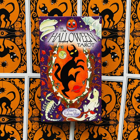 Halloween taro kortų rinkinys centrinėje dėžutėje, matomas viršelis su juoda kate ir oranžiniu ornamentu, skirtas produkto peržiūrai