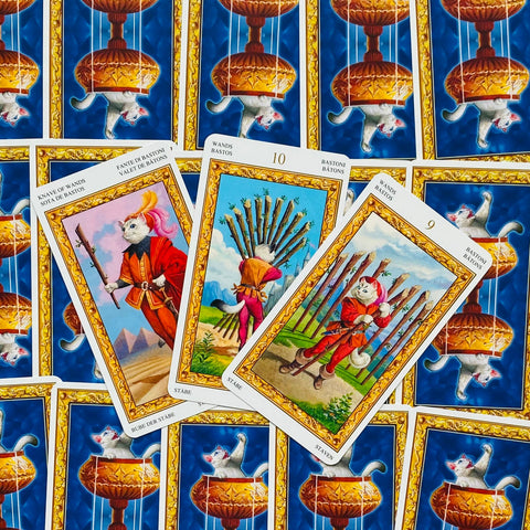 tarot kortos katiniška versija, trys priekinės kortos su aukso rėmais ir mėlynais galais, variantas rodantis katės iliustracijas