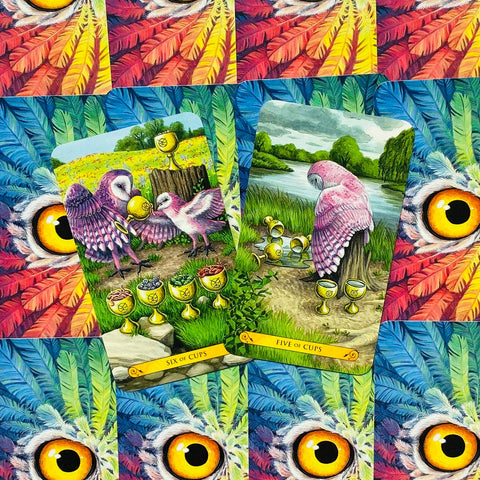 Tarott of the owls kortos