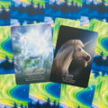 Kortos su vienaragiais — dvi oracle kortos „Imagination“ ir „Hope“ ant ryškaus žali‑mėlyno auroros fono, priekinių kampų vaizdas