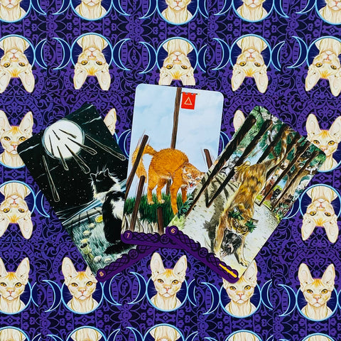 Tarot kortos fanuotos trijų kortų išdėstymu ant violetinio audinio su kačių raštu, matomos skirtingos kortelių iliustracijos