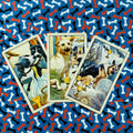 Tarot kortos su šunų iliustracijomis, trys atvertos kortos fanuotos ant mėlyno kauliukų fono
