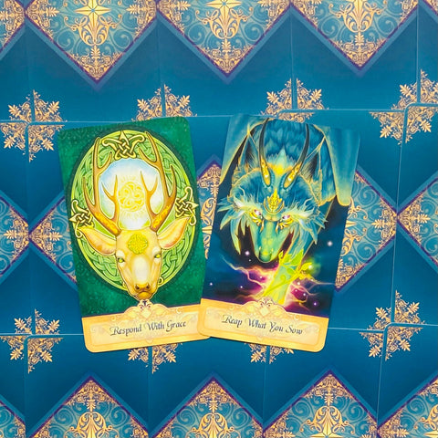Seeker Oracle Kortos