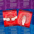 meditacinės kortos raudonos — dvi kortos Calming (Adhi Mudra) ir Fearlessness (Abhaya Mudra) ant mėlyno instrukcijų lapo