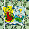 Tarot kortos dvi ryškios kortos King of Pentacles ir Ace of Cups ant žalio augalinio fono, skirtos asmeniniam taro skaitymui