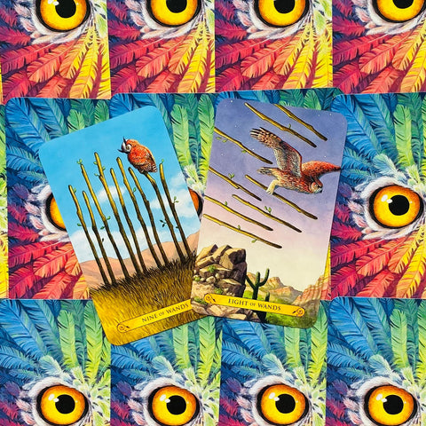 Tarot kortos dvi atviros: Aštuoni lazdelės ir Devyni lazdelės, kampu padėtos ant spalvingų plunksnų nugarėlių, matomas priekis ir piešiniai