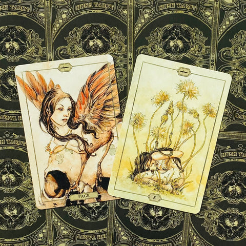 Tarot kortos Hush Tarot: dvi atverstos kortos — sparnuota Page ir gėlėta X, švelnūs geltoni atspalviai