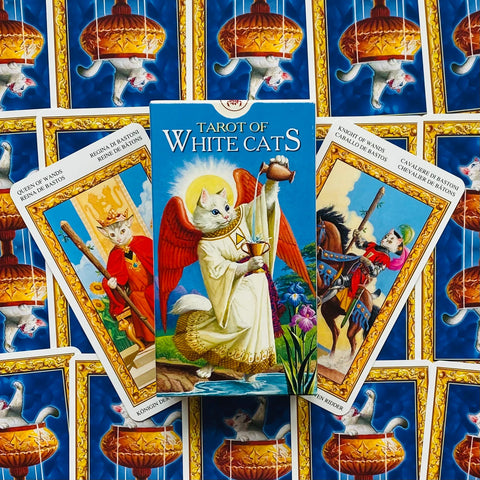 Parduodamo Tarot of White Cats priekis centre, trys įvairiais kampais atverstos kortos su mėlynais nugarėlių raštais, parodyta komplekto versija