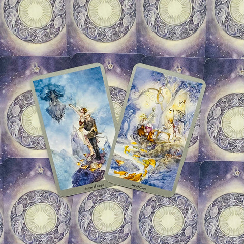 Shadowscapes Tarot kortos ir knyga (rinkinys)