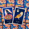 Orakulo kortos su mėlynu fonu ir baltu rėmeliu, dvi atverstos kortos — „The Crow“ juoda varna ir „The Owl“ šviesi pelėda, matomos raštuotos nugarėlės