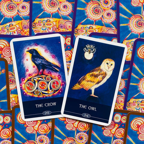 Orakulo kortos su mėlynu fonu ir baltu rėmeliu, dvi atverstos kortos — „The Crow“ juoda varna ir „The Owl“ šviesi pelėda, matomos raštuotos nugarėlės