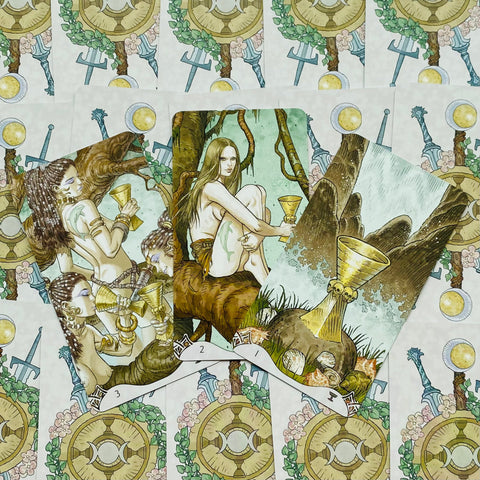 Erotic Fantasy Tarot kortos
