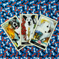 tarot kortos su šunų iliustracijomis, trys atverstos kortos (Karalius, Karalienė, Tūzas) ant mėlyno kaulų rašto fono, plokščias išdėstymas