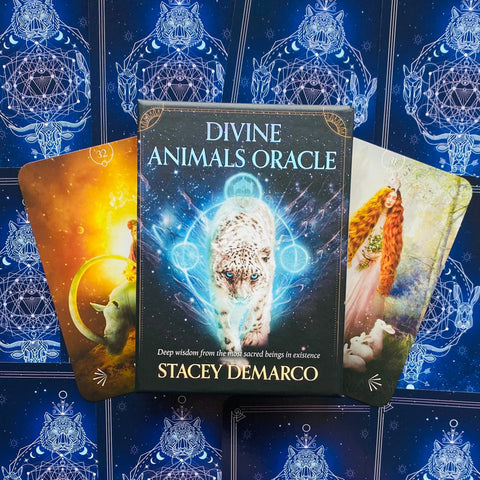 orakulo kortos Divine Animals (Stacey Demarco) dėžutė su baltuoju leopardu ir dviem pavyzdinėmis kortomis ant mėlyno fono