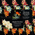 Phalaenopsis orchidėja etiketė su baltomis orchidėjų piešiniais ant juodo fono, išdėstyta šalia Mexican Marigold kortelės