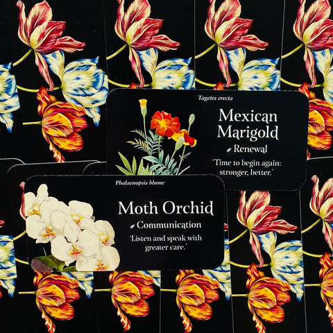 Phalaenopsis orchidėja etiketė su baltomis orchidėjų piešiniais ant juodo fono, išdėstyta šalia Mexican Marigold kortelės