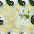 Orakulinės kortos, dvi kortos rodymas: panda „Nourish“ ir plunksna „Awareness“ su pastelinėmis yin‑yang nugarėlėmis