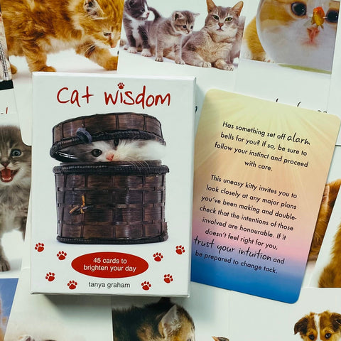 Cat Wisdom kortų rinkinys (Tanya Graham) su 45 patarimų kortomis, baltu dėklu ir viena atversta korta su intuicijos patarimu