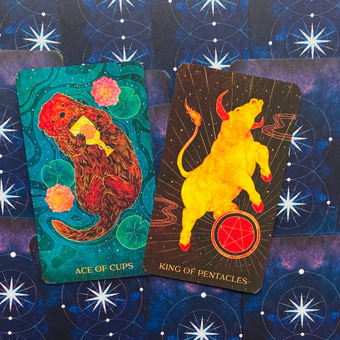 Tarot kortos — dvi atverstos iliustruotos kortos: Ace of Cups žalsvai mėlyna su driežuota lūšna ir King of Pentacles juoda su geltonu buliu