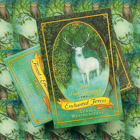 Forest of Enchantment Tarot kortos