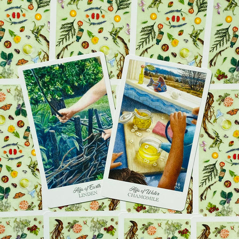 Tarot kortos su Linden ir Chamomile iliustracijomis, dvi atviros kortos ant žalio botaninio nugarėlių fono