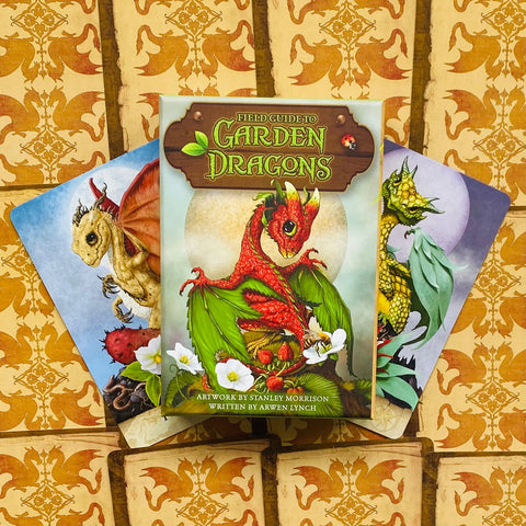 Garden Dragons kortų rinkinys su dėžute, kurios viršelyje raudonas braškių motyvo drakonas ir dvi skirtingos iliustruotos kortos fone