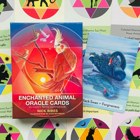 Enchanted Animal Oracle kortos raudonoje dėžutėje su cockatiel iliustracija ir šalia Juodojo gulbės korta ant spalvoto fono