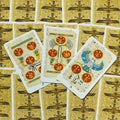 tarot kortos egiptietiško dizaino su papiruso fonu, trys atvertos priekio kortos, aiškūs raudoni simboliai