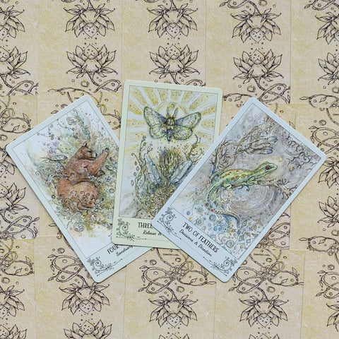 tarot kortos trijų kortų išklotė: žalios varlės, drugelio ir miegančio lokio iliustracijos ant šviesaus raštuoto fono