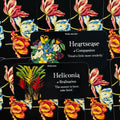 Orakulo kortos su tamsiu fonu, dvi kortos Heartsease ir Heliconia su spalvingomis gėlių iliustracijomis