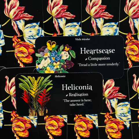 Orakulo kortos su tamsiu fonu, dvi kortos Heartsease ir Heliconia su spalvingomis gėlių iliustracijomis