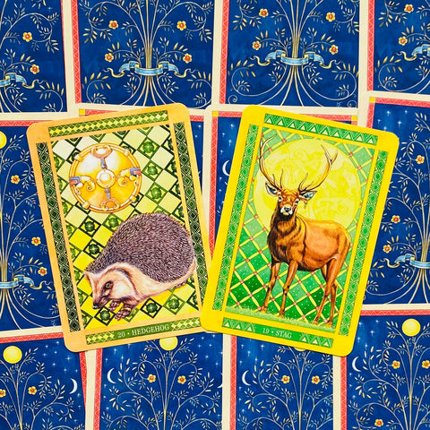 Tarot kortos su gyvūnų tematikos iliustracijomis, matomi žali‑geltoni Ežys ir Briedis prie mėlynos ornamentuotos nugarėlės