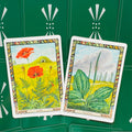 tarot kortos, dvi iliustruotos botaninės kortos – aguona ir lopūstas, priekinis kampas, kolekcijos variantas
