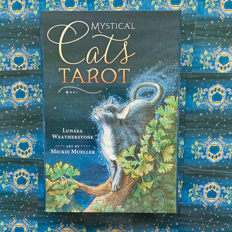 Cats Tarot kortos — dėžutė su mėlyna naktine iliustracija ir katės piešiniu, aut. Lunaea Weatherstone