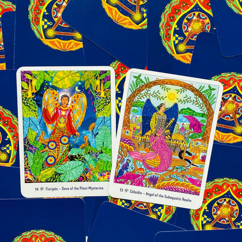 tarot kortos – spalvingas dviejų kortų komplektas su augalų paslapčių ir povandeninės karalystės iliustracijomis