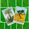 Tarot kortos, dvi priekinės versijos – sodo ir dykumos medžių iliustracijos ant kampu persidengiančių kortų su žalia nugarėle