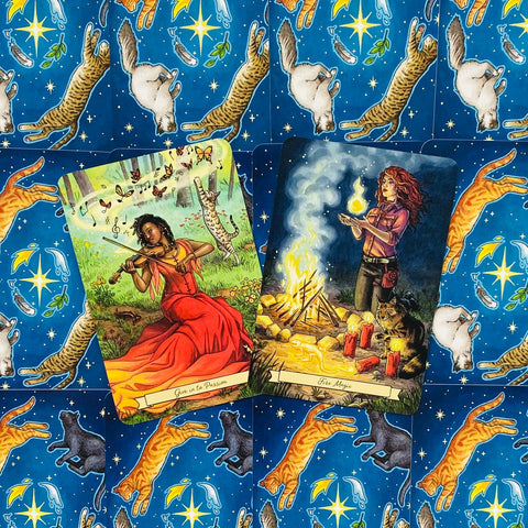 Tarot kortos rinkinys su dviem spalvingomis kortomis (aistros ir ugnies motyvai) ant mėlyno kačių–žvaigždžių fono