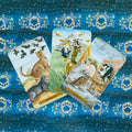 Tarot kortos su kačių iliustracijomis — trys atsiverstos kortos fane ant mėlynos ornamentuotos nugarėlės