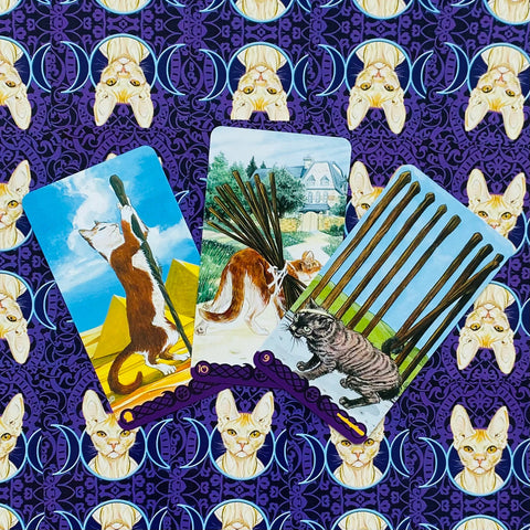 tarot kortos katėmis, trijų kortų išdėstymas ant violetinio mėnulio rašto, detalūs iliustruoti katinų motyvai