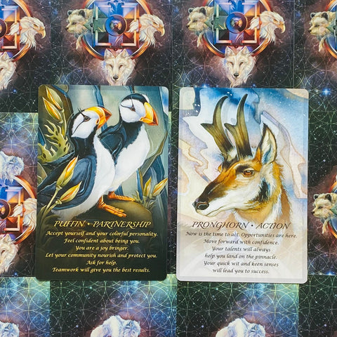 Orakulų kortos su spalvingomis puffin ir pronghorn iliustracijomis, rodoma pora kortų ant geometrinio fono