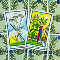 Tarot kortos — dvi ryškios kortos (Ace of Wands ir Two of Wands) parodytos iš viršaus ant žalsvo augalinio fono, idealiai tinka komplektui pavaizduoti
