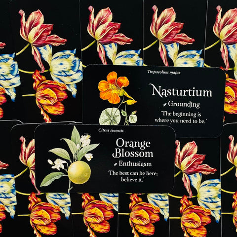 Kvapų kortelė Orange Blossom – juoda etiketė su citrusų iliustracija ant tulpėmis dekoruoto fono