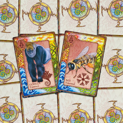 Tarot kortos su atvertomis Gorilla (19) ir Bee (18) kortomis, ryškiais aukso rėmais ir rožiniu fonu, parodytos iš viršaus kaip priekinių iliustracijų variantas